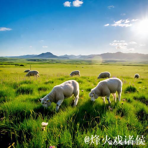 探索亚洲青青草原的广袤与神秘